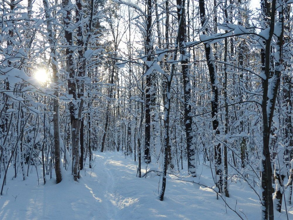 Photograph by Георгий Салюков