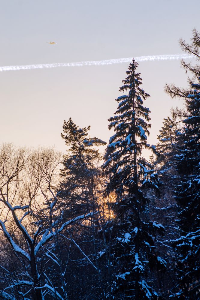 Photograph by Ольга Заповедная