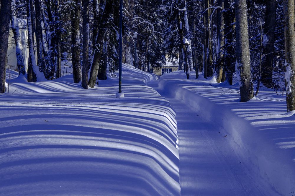 Штрих-код зимы/The barcode of winter