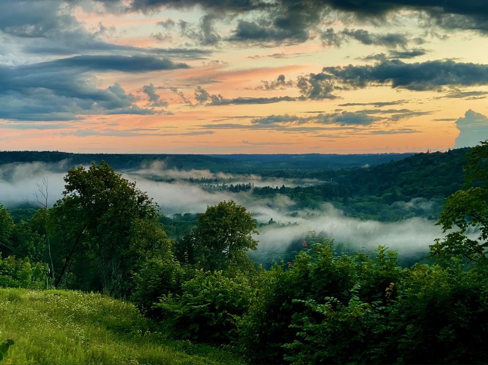 Photograph by Ольга Пилиповец