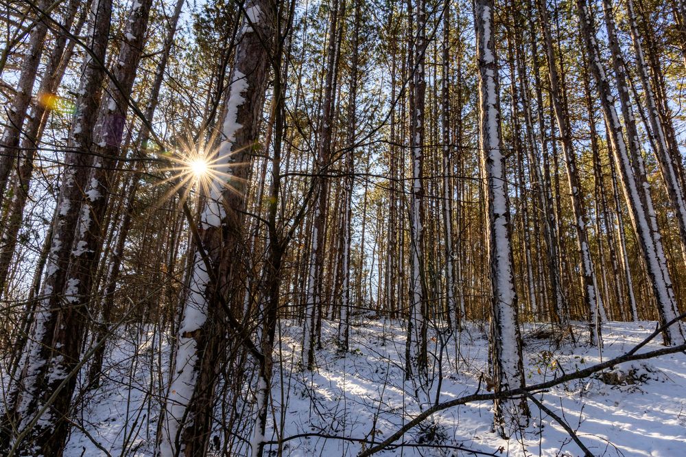 Photograph by Георги Иванов