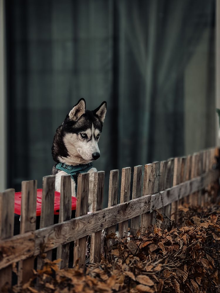 Photograph by Anya Lo