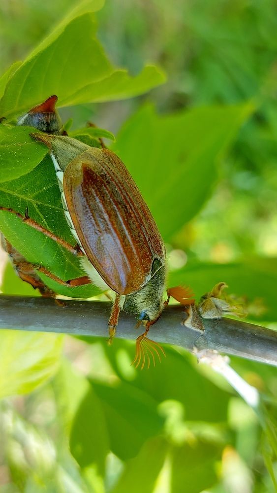 Photograph by ЭЛЬМИРА  ИСМАИЛОВА