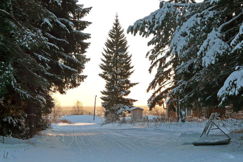 Photograph by Валентин Кузьмин