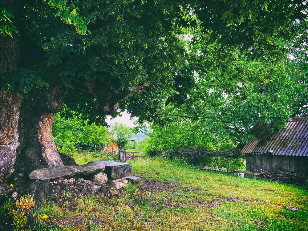 Photograph by Lana Cardi