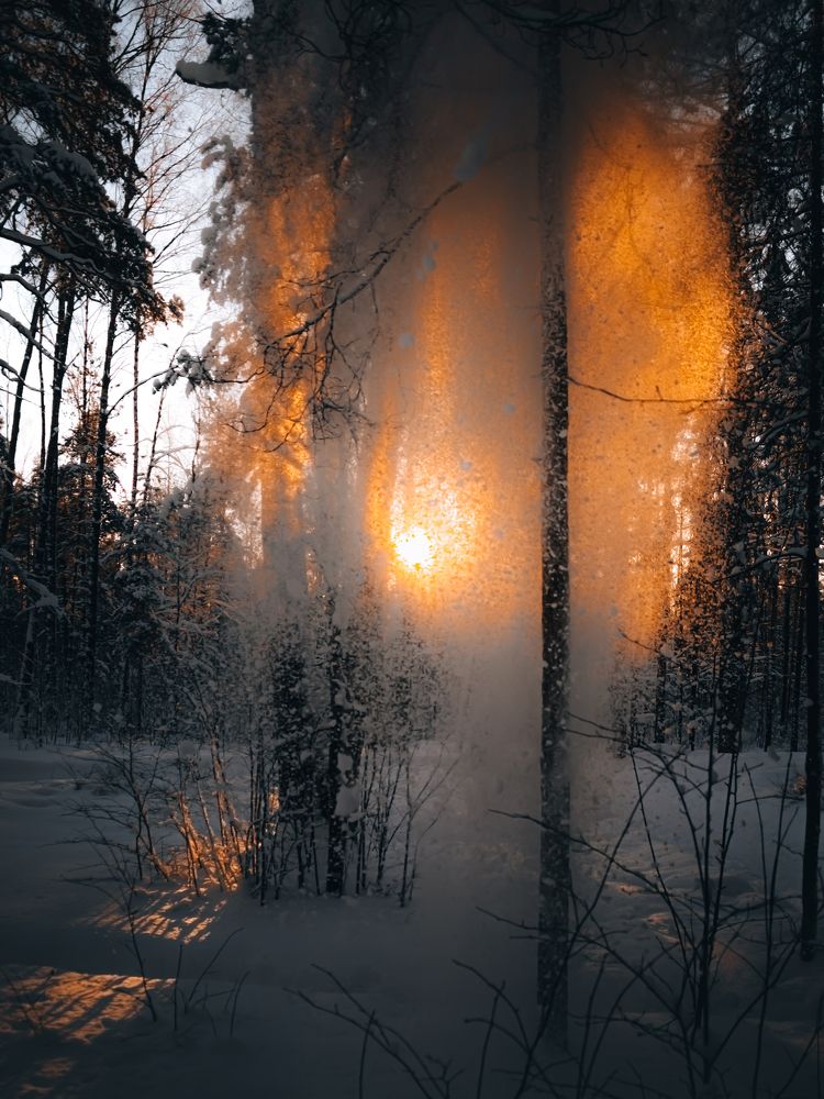 Фотография автора Павел Арсеев