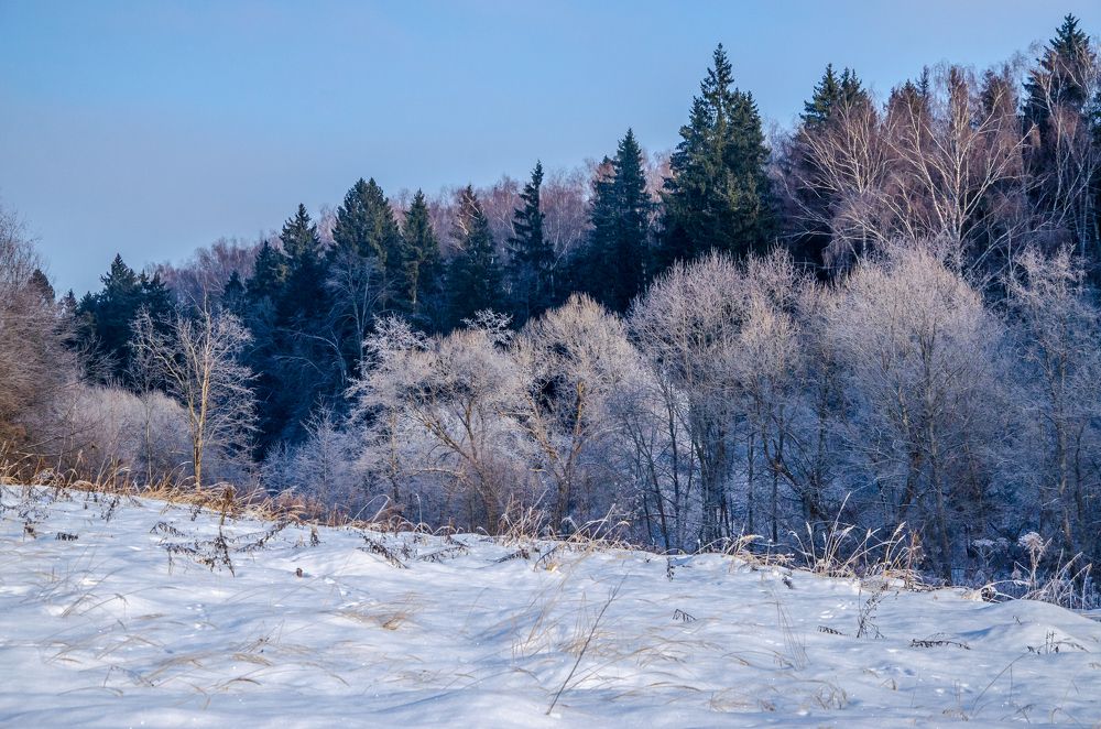 Photograph by Ольга Заповедная