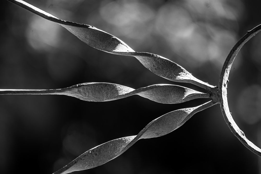 Photograph by Diana Ros Iraola