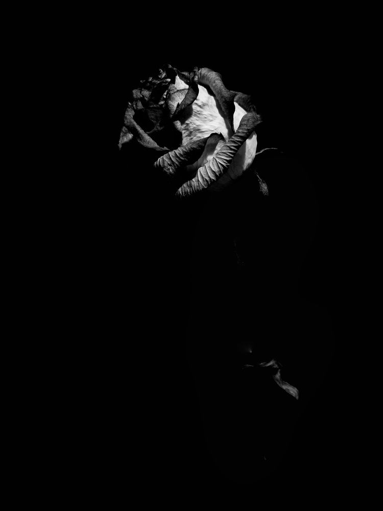 Photograph by Анна Кош