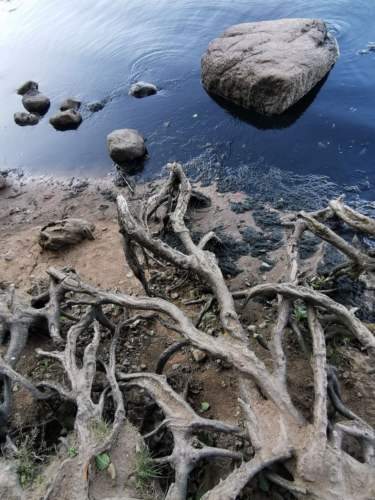 Photograph by Анна Кош