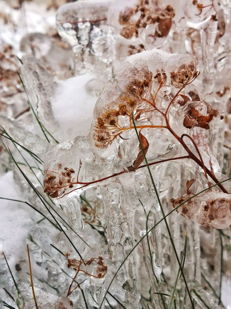 Photograph by Анна Кош