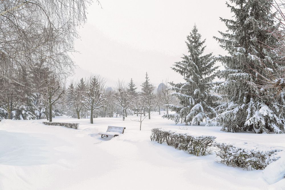 Photograph by Алена Полетаева