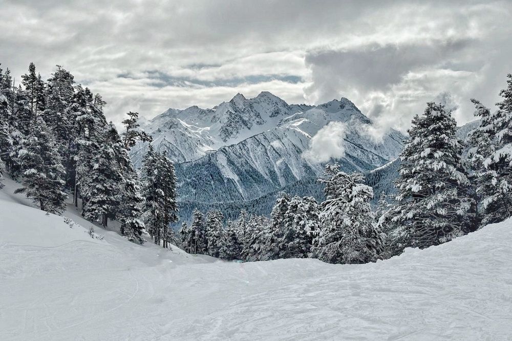 Фотография автора Евгения Никишина
