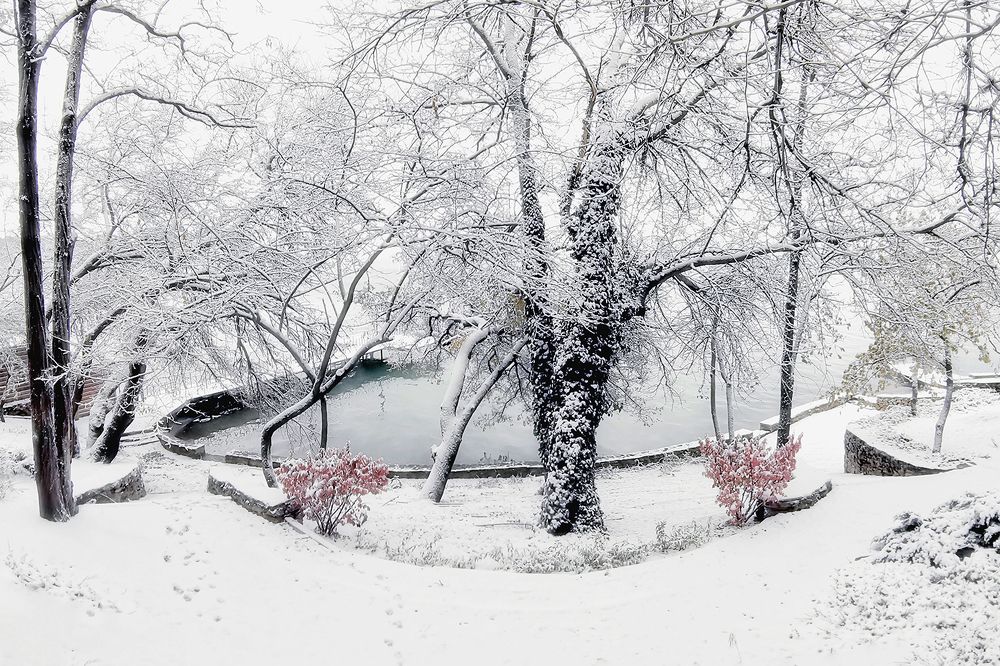 Южная зима. Теплый снег.