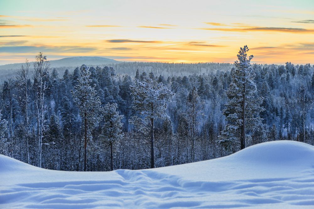Фотография автора Андрей Русских