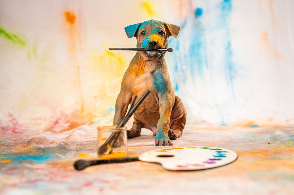 Photograph by Иван Грачев