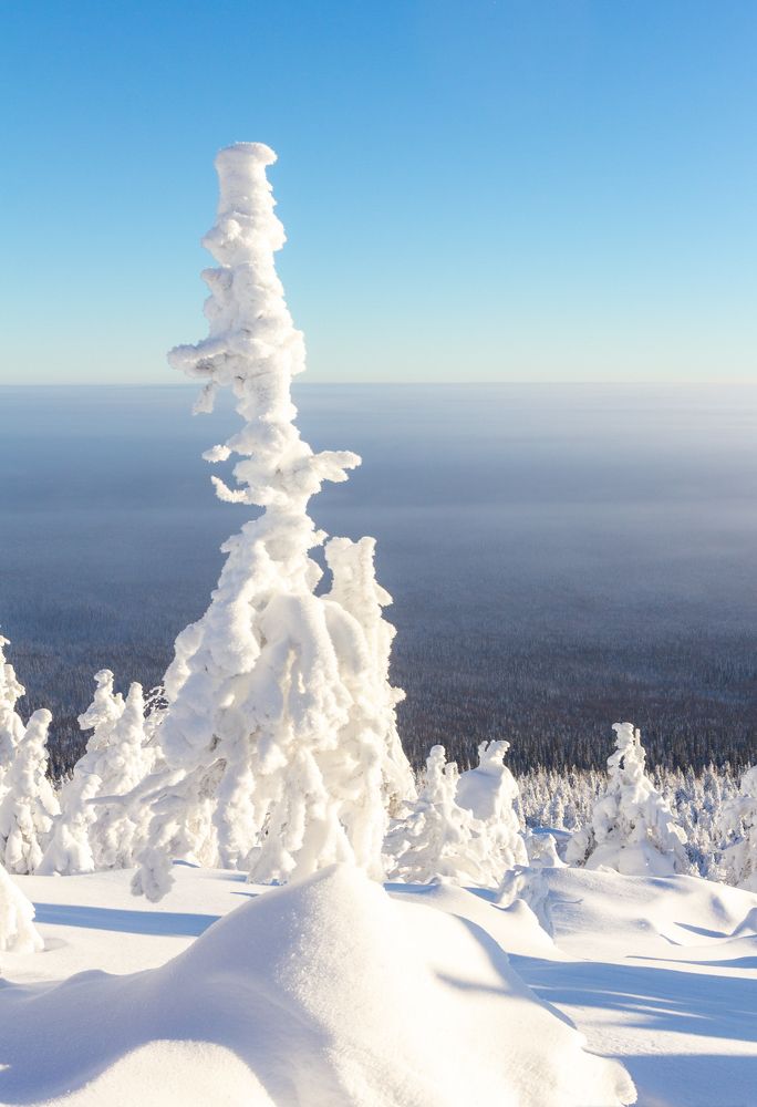 Photograph by Алексей Ширманов