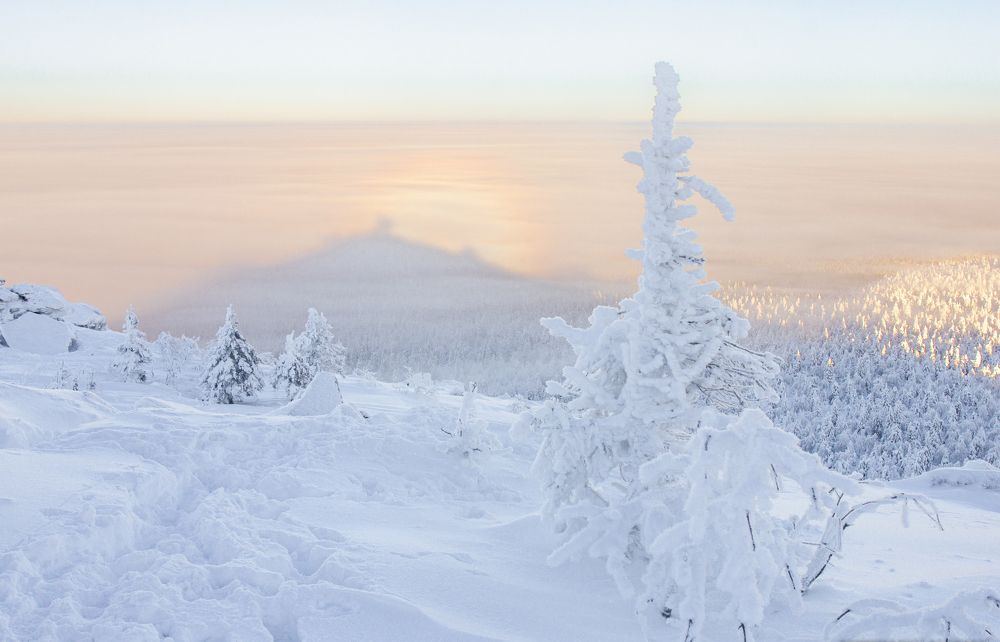 Photograph by Алексей Ширманов