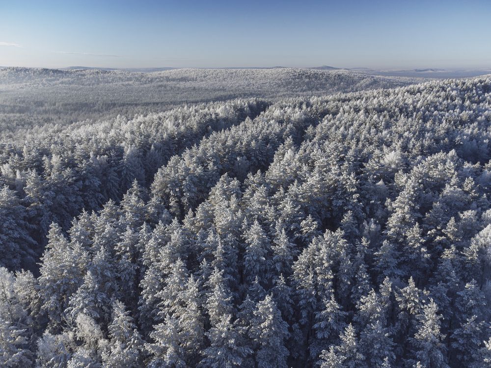 Photograph by Егор Самойлов