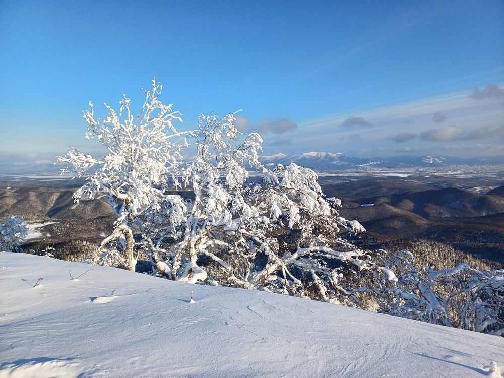 Photo #10168065