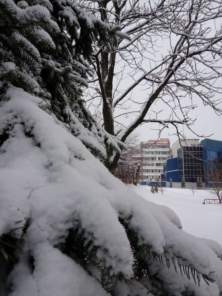 Photograph by Aliaksei Sauko