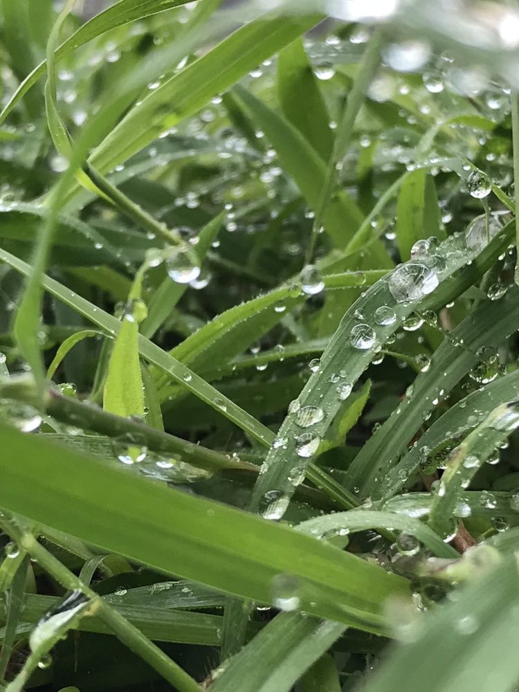 Photograph by Deasy Junita Dhani Hidayana