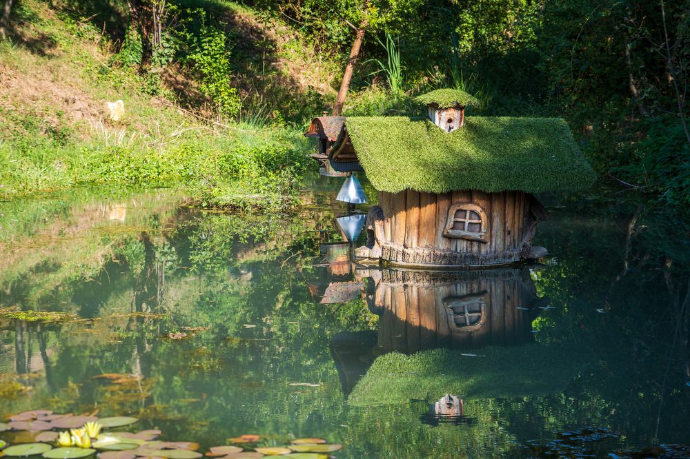 Photograph by Думнова Алёна