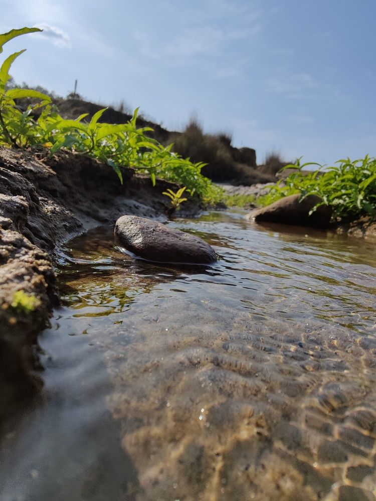 Фотография автора Sonali Mahakal