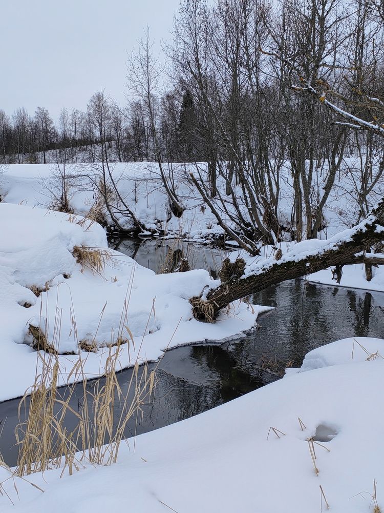 Photograph by Ольга Третьякова