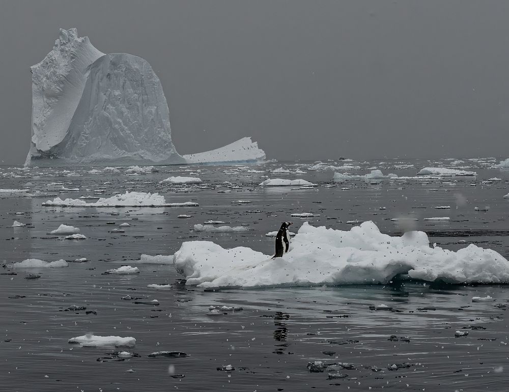 Photograph by gagarin andrey