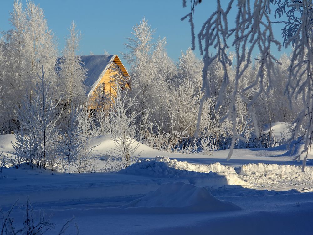 Photograph by Феденкова Татьяна