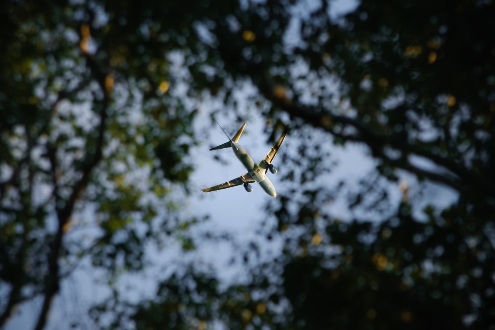 Photograph by Панфилов Виктор