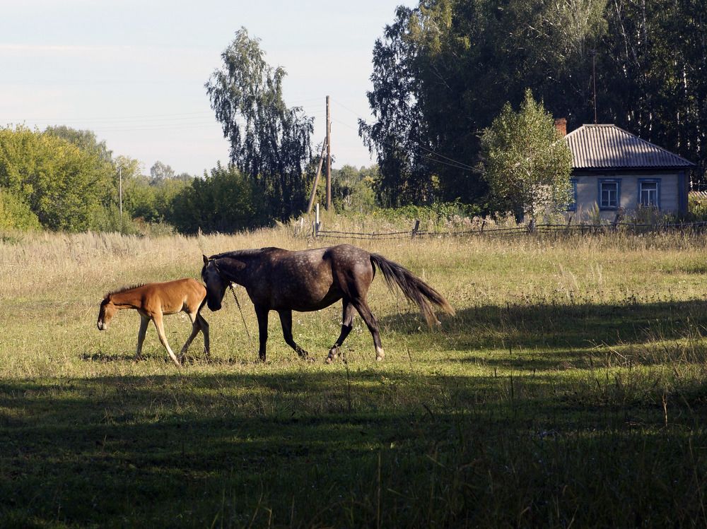 Photograph by Дмитрий Лобанов