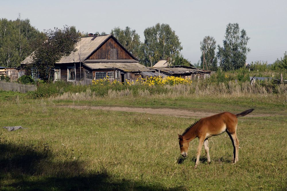 Photograph by Дмитрий Лобанов