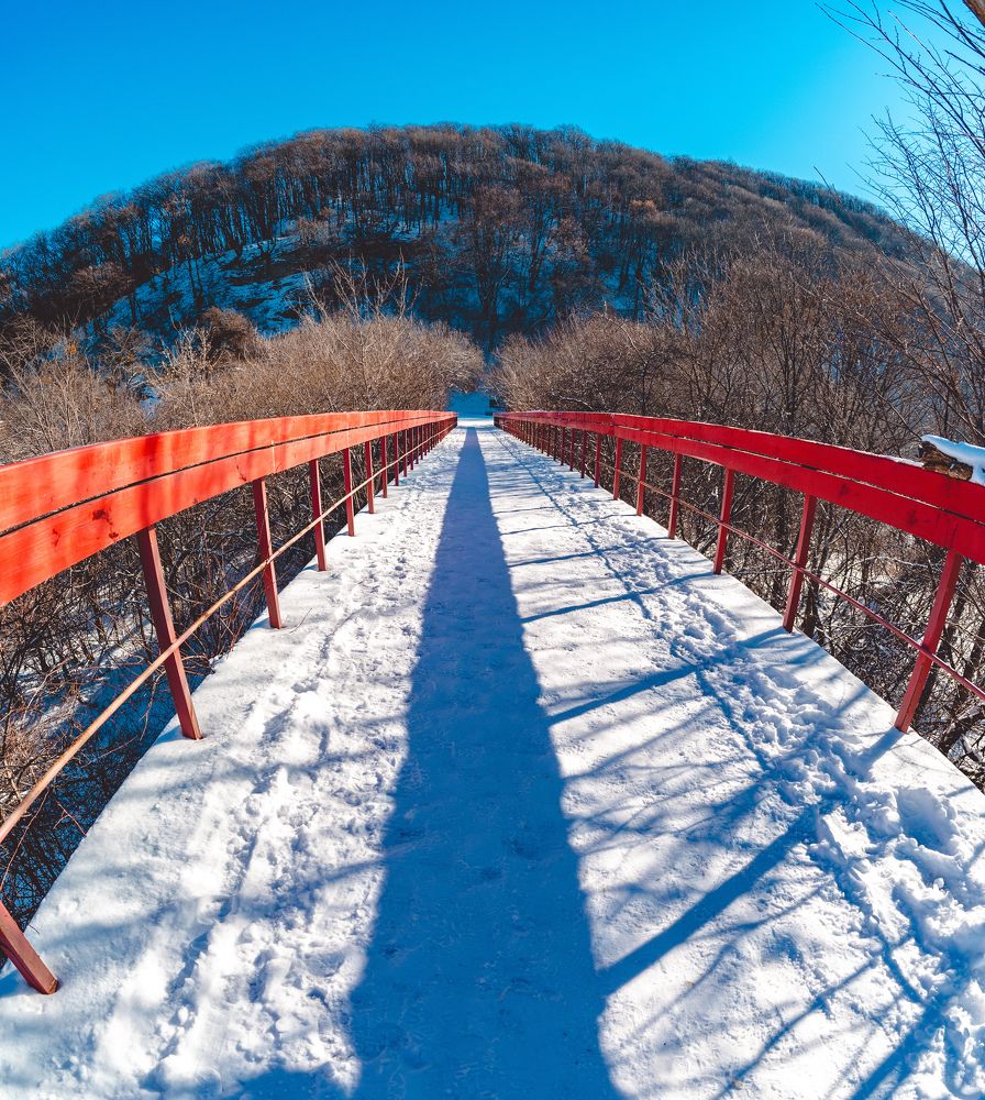 Фотография автора Дмитрий Referee