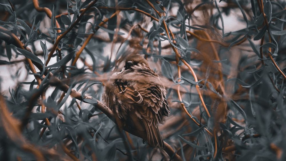 Photograph by Юлия