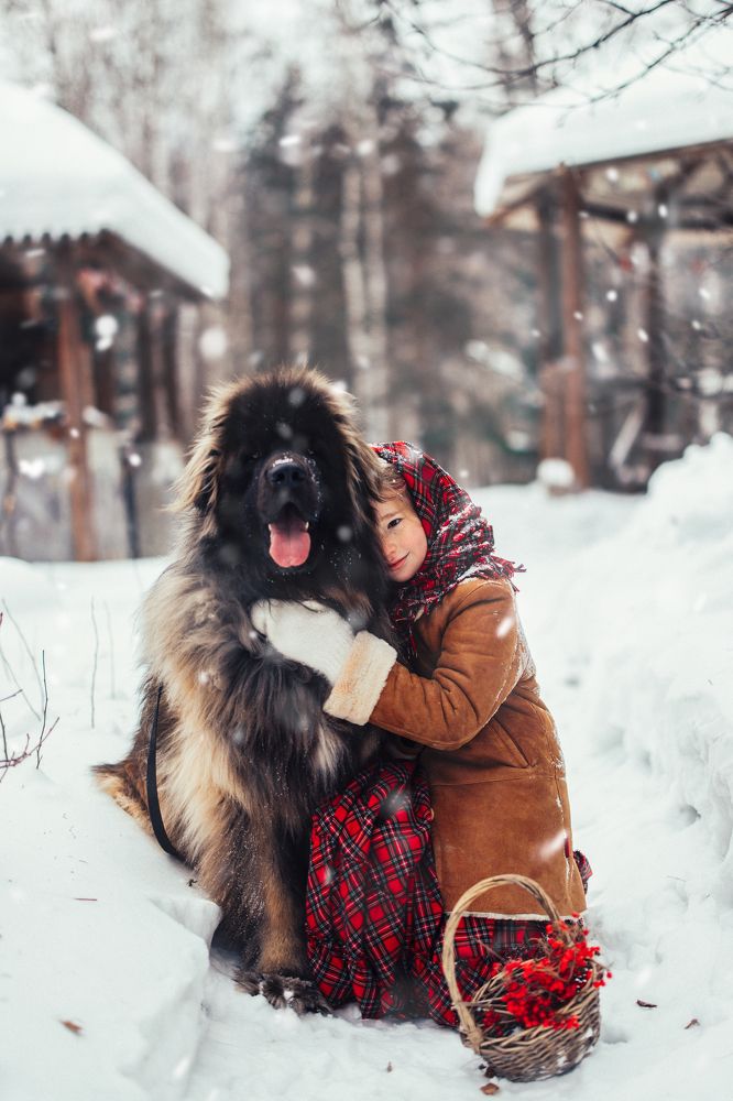 Photograph by Алена Нестерова