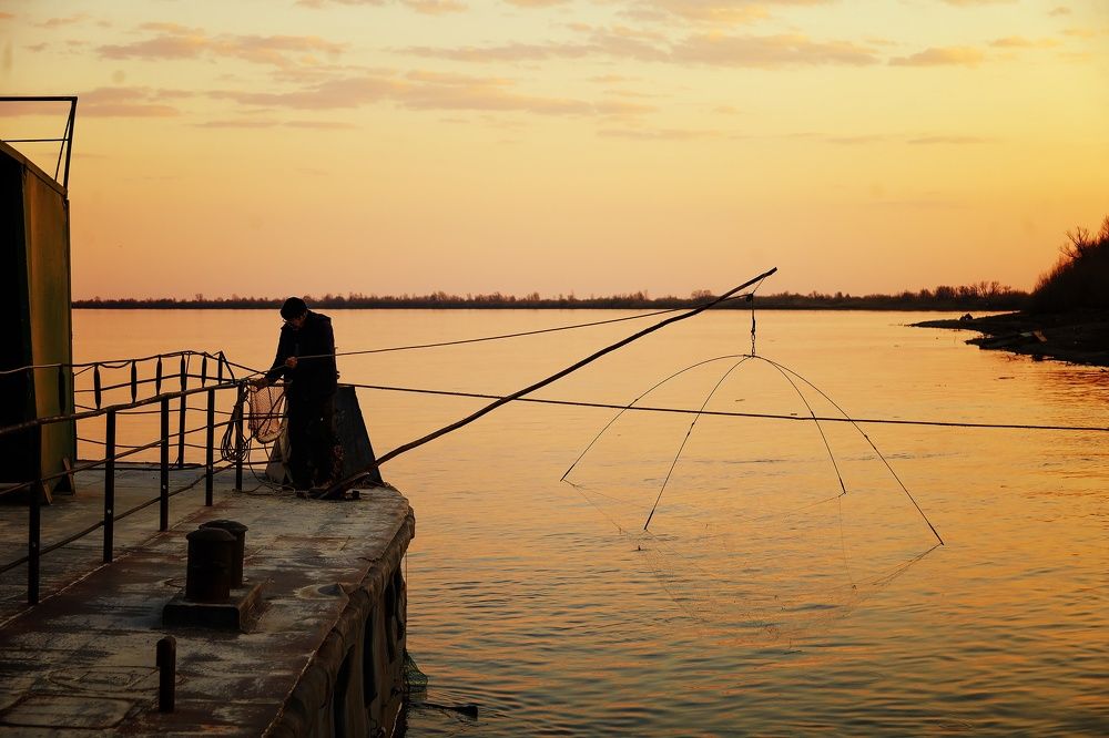 Photograph by Денис Григорьев