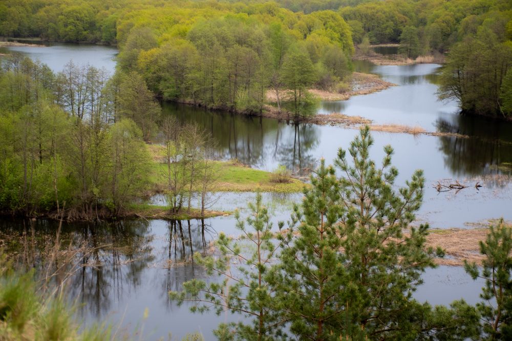 Photograph by Юлия