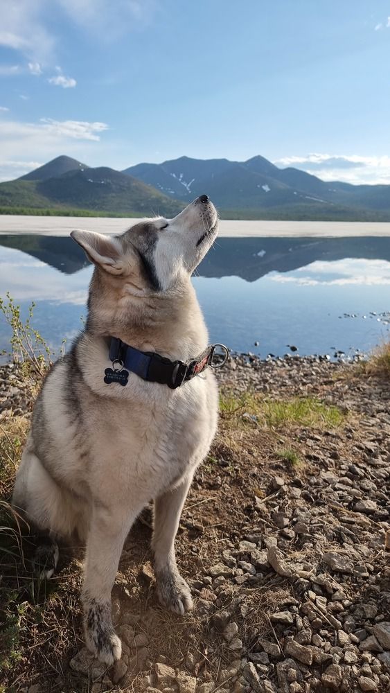 Photograph by Алексей Кальченко