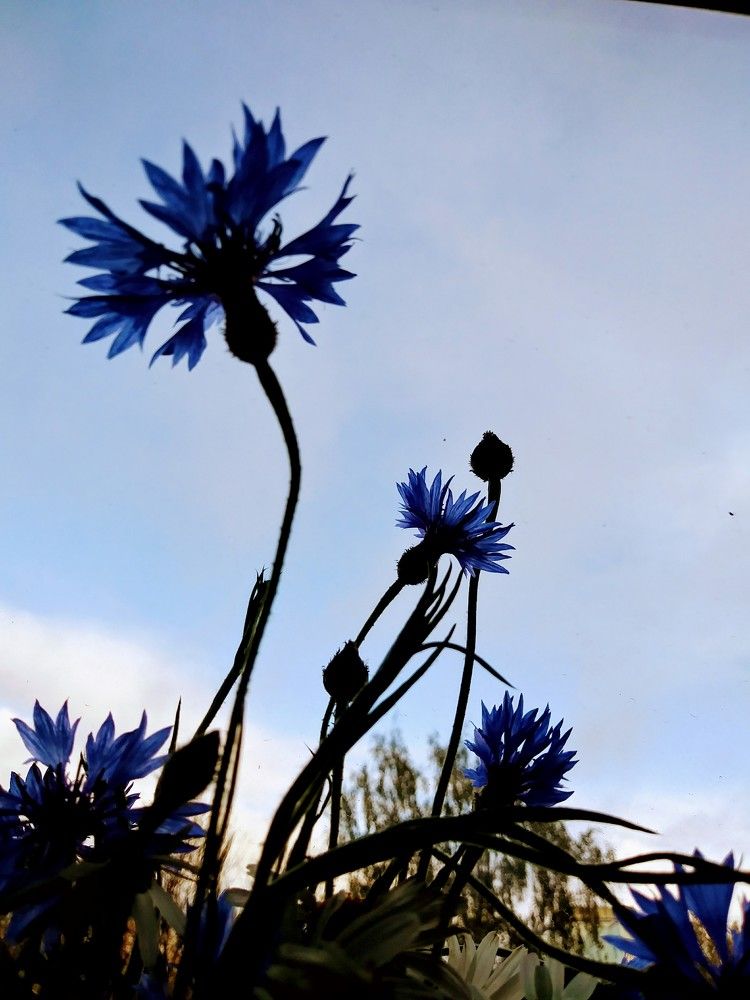 Photograph by Нина Старкова