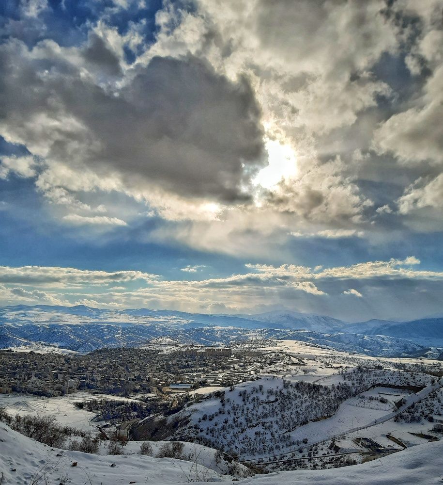 Photo #10168556