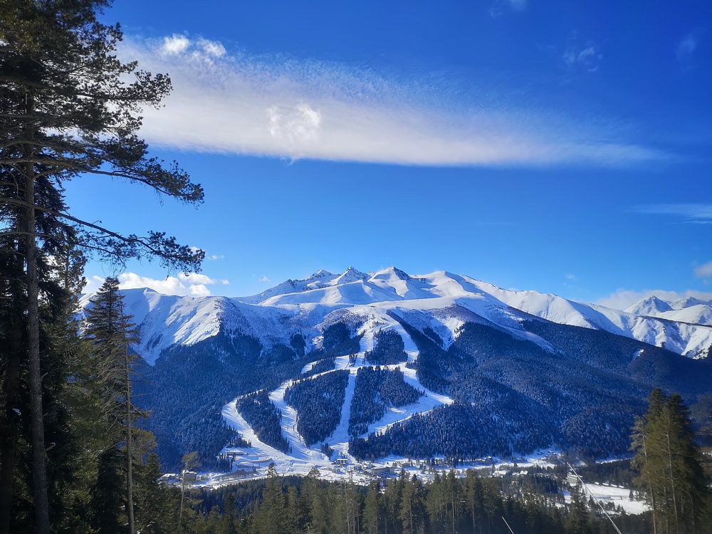 Photograph by Владимир Кривенко