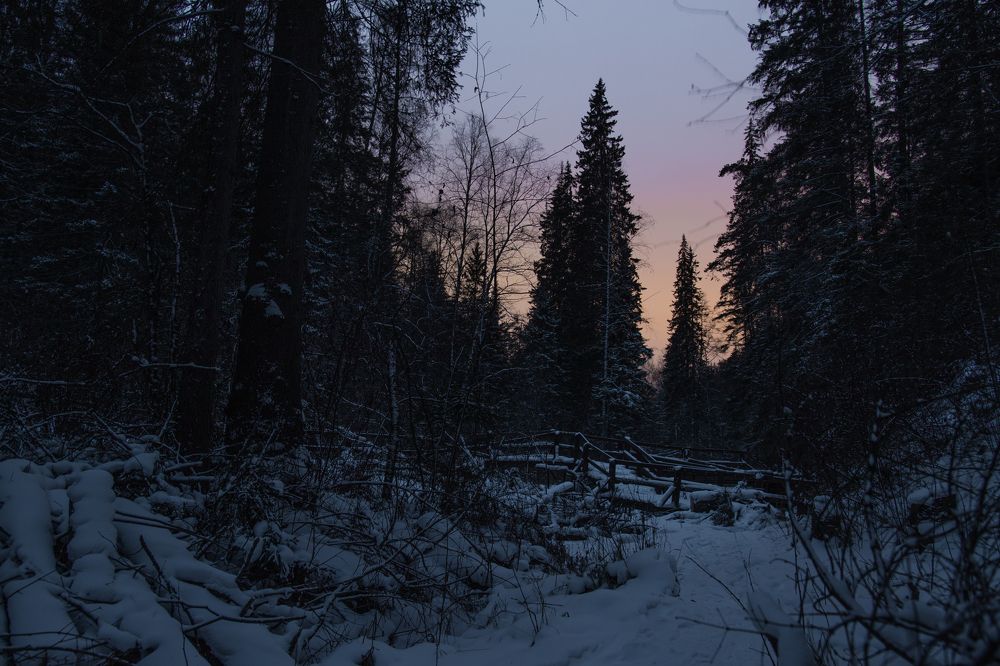 Photograph by Фистина Мария