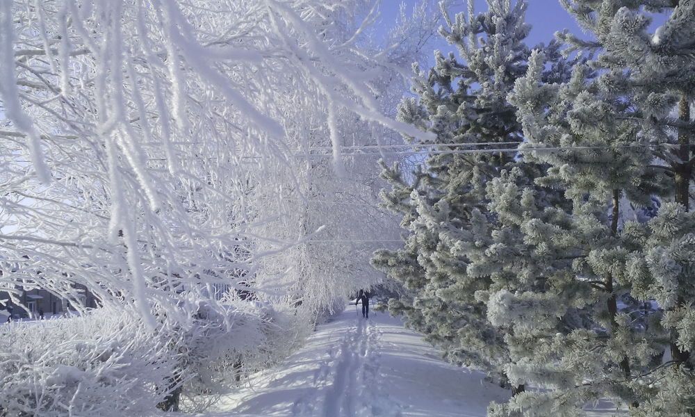 Photograph by Татьяна Чижикова