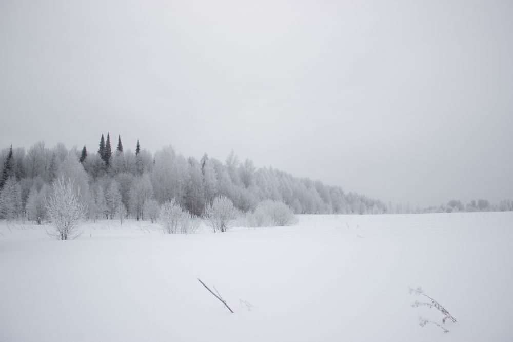 Photograph by Фистина Мария