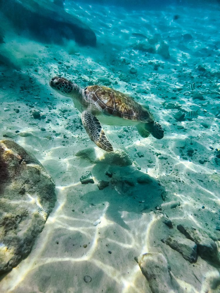 Photograph by Agnieszka Wieczorek