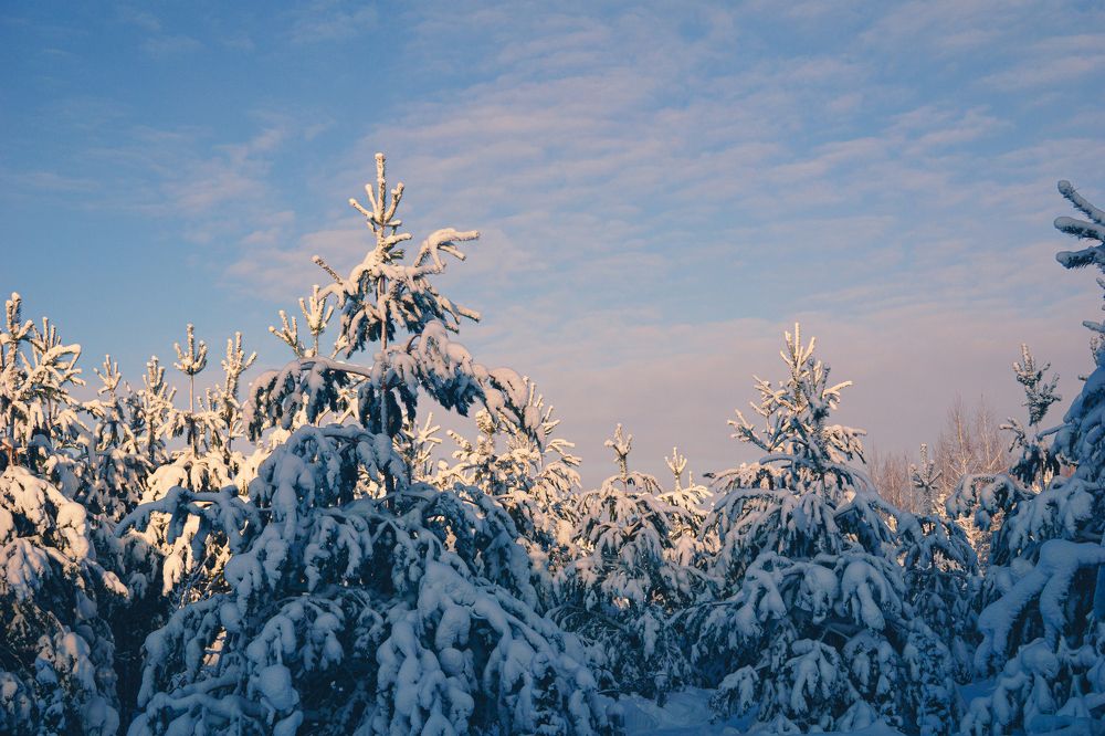 Photograph by Елена Леонидовна