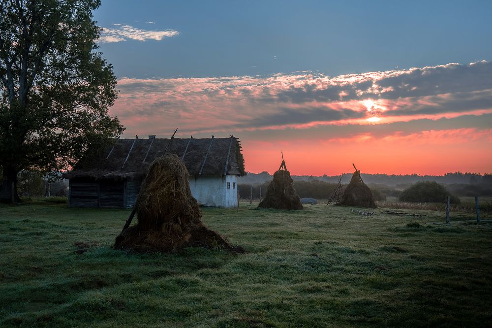 Photograph by Добродий Михаил