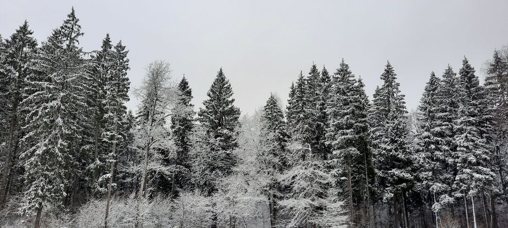 Photograph by Сергей ПЛАТОНОВ